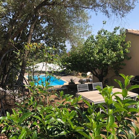 Maison Ferruccio Πόρτο Βέκιο Εξωτερικό φωτογραφία